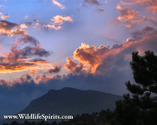 Click Picture to send as an  E-PostCard 53k 550x440